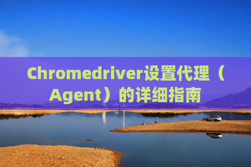 Chromedriver设置代理（Agent）的详细指南